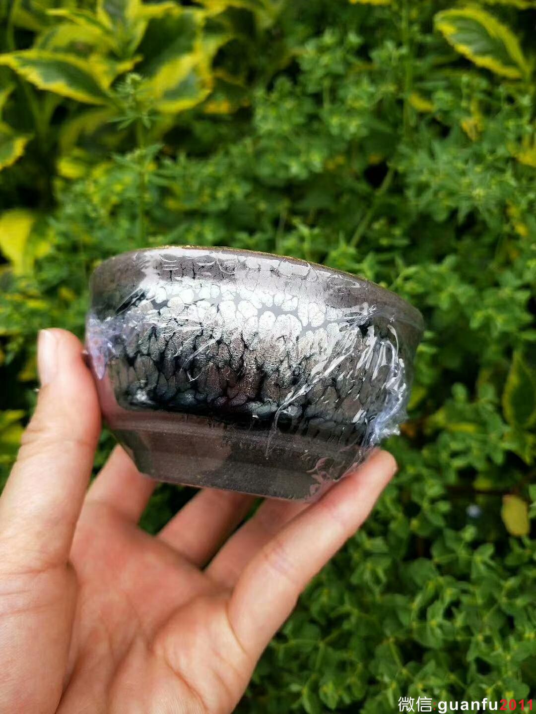 李昌海老師 鷓鴣斑金盞：口徑8*4.5