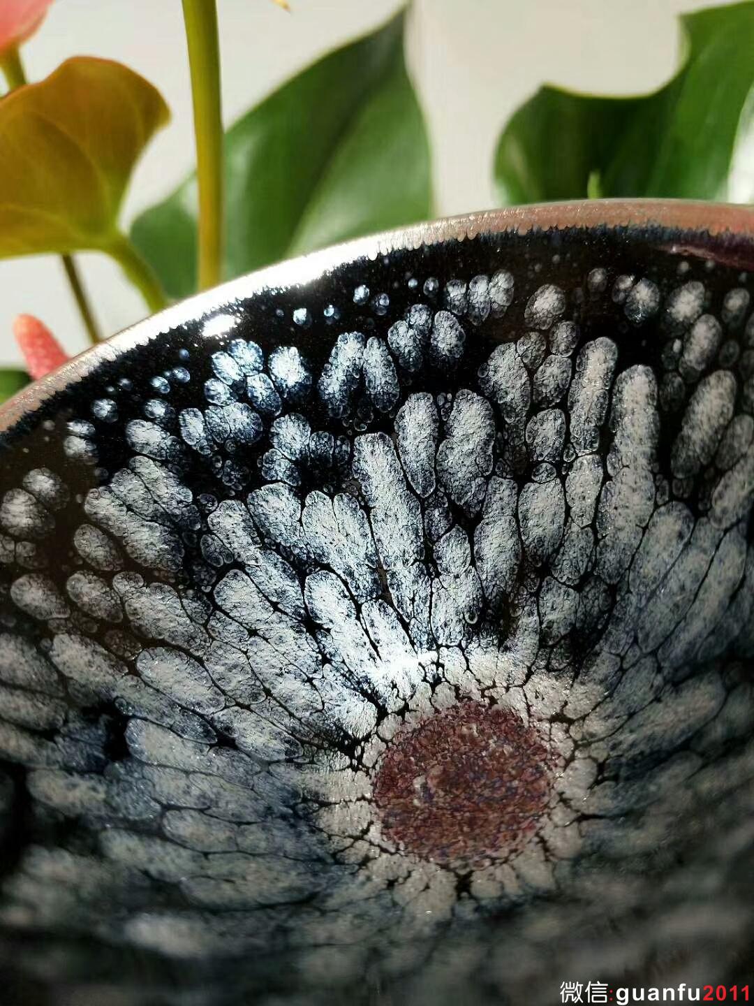 mmexport1524207667459