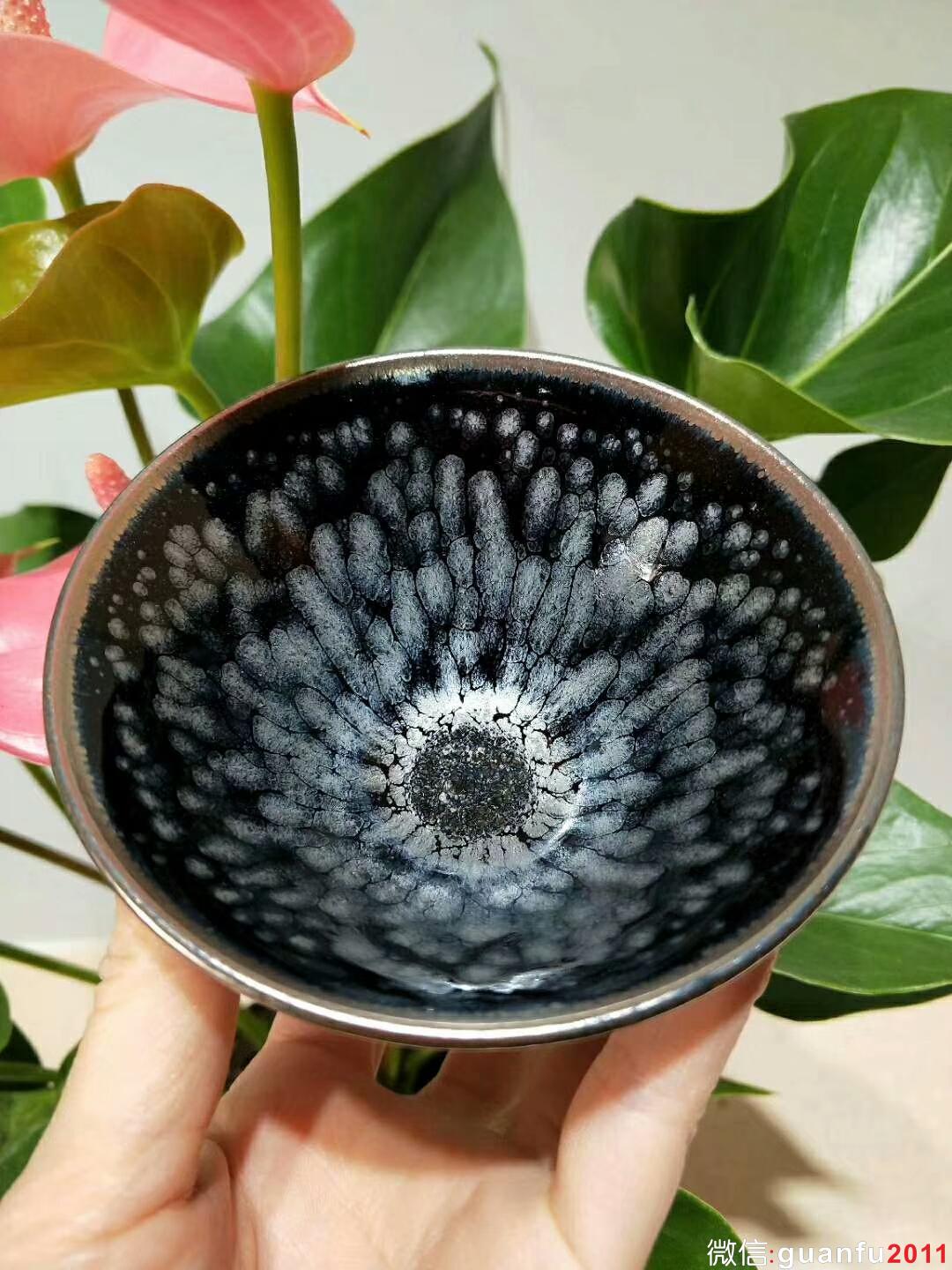 mmexport1524207671487