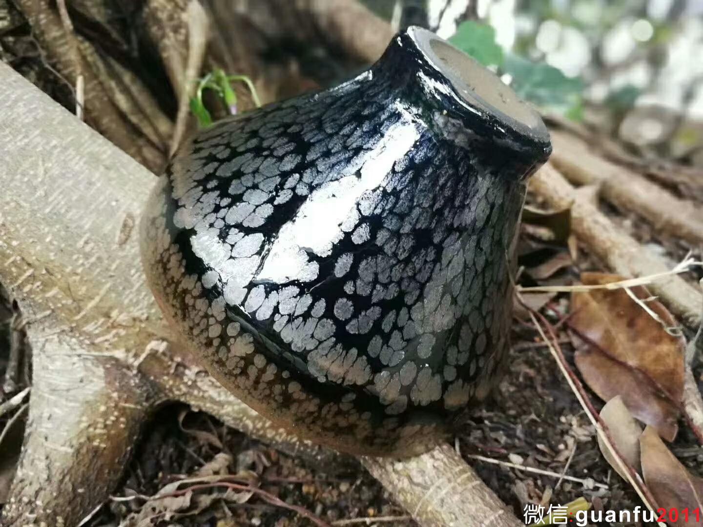 mmexport1524210490496