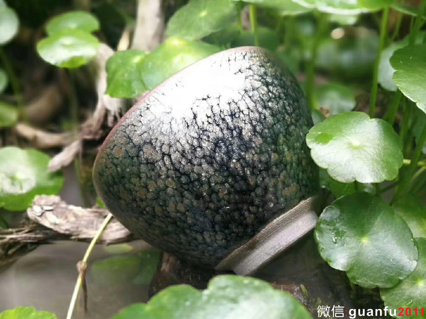 mmexport1524380050187