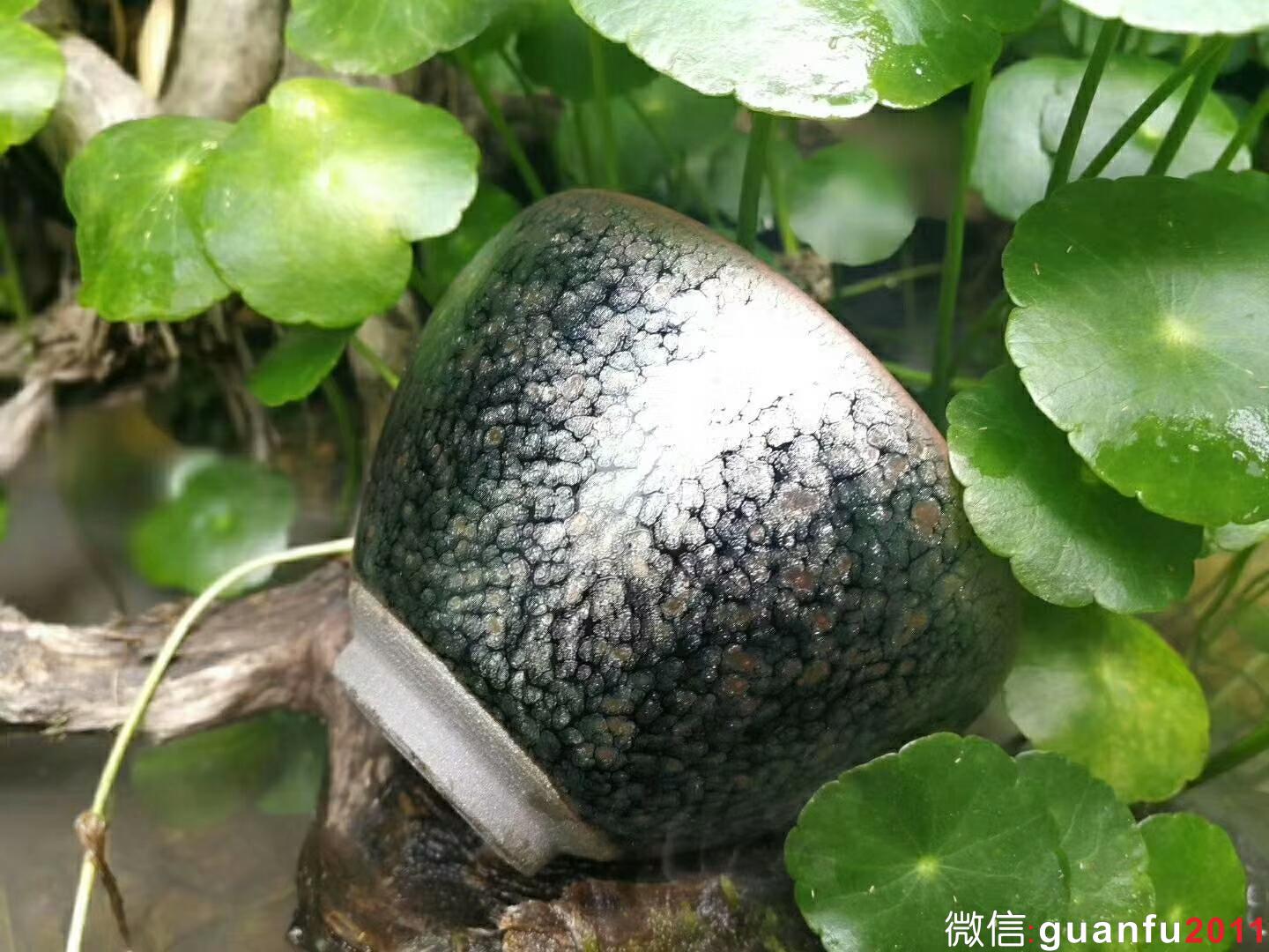 mmexport1524380053966