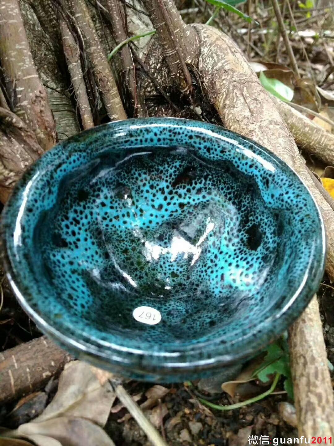 mmexport1524798439332