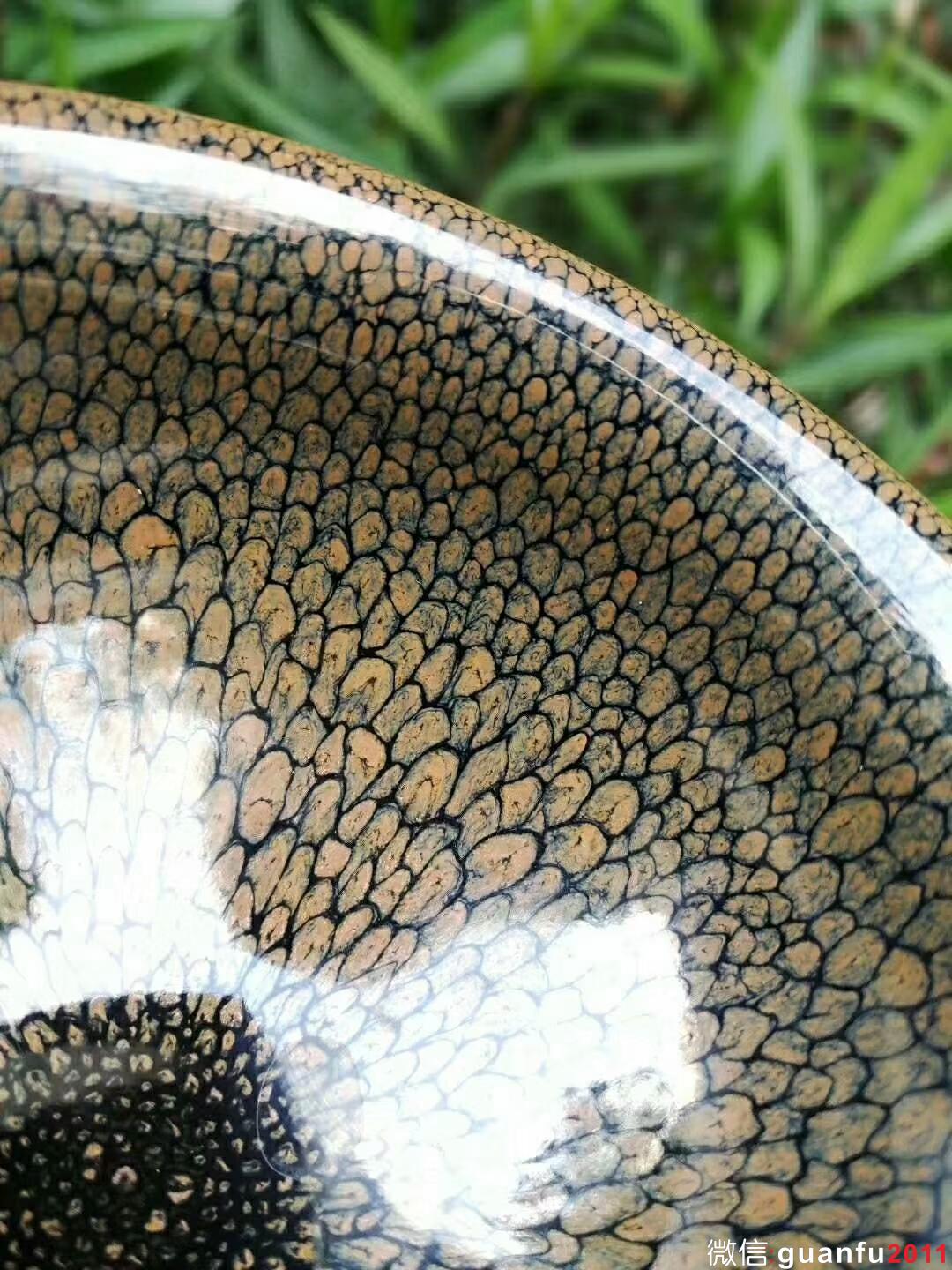 陳大鵬老師 鷓鴣斑：口徑8.8*5.3