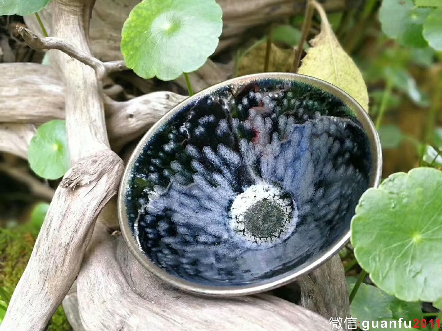 mmexport1524802069728