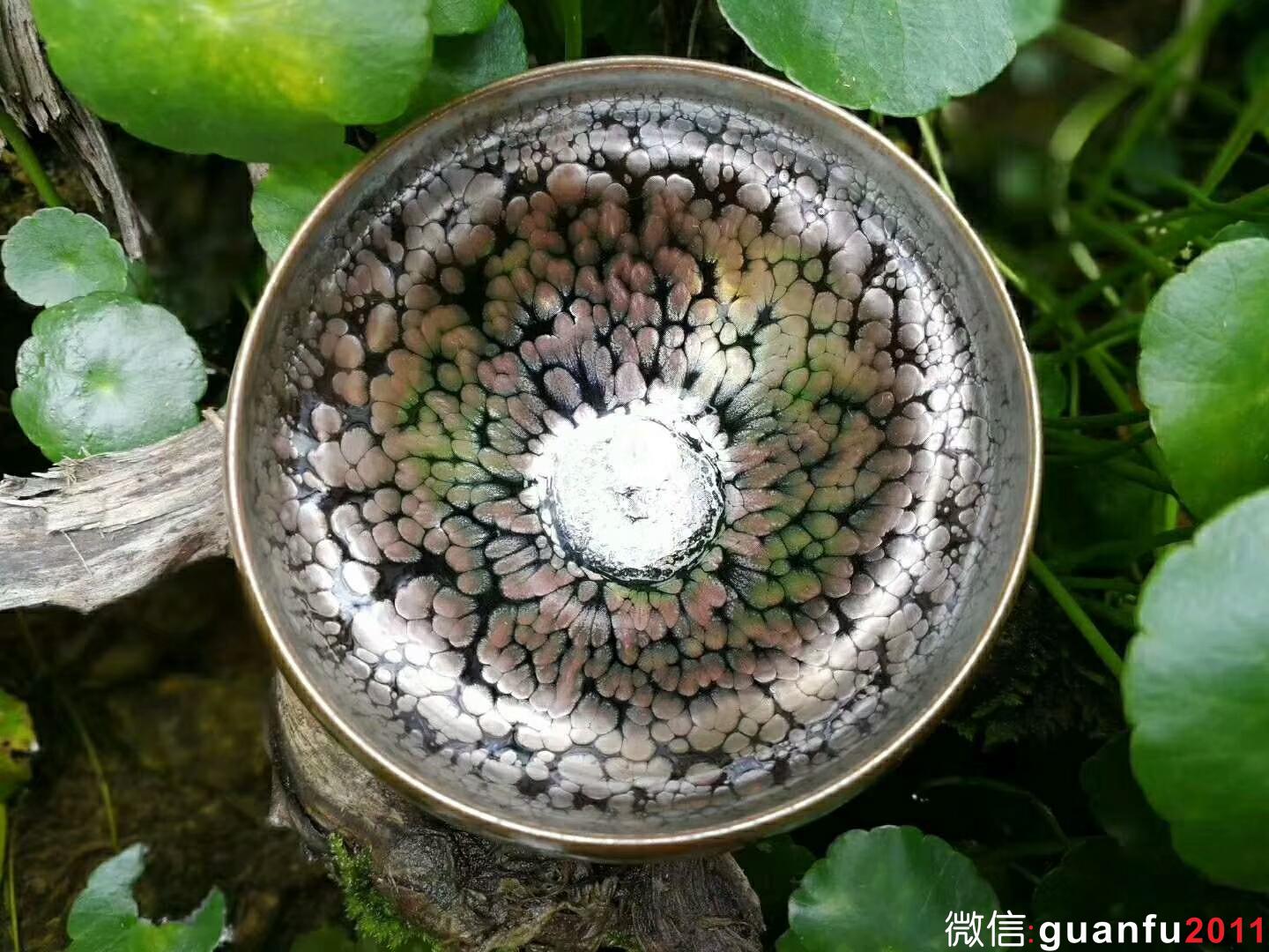 mmexport1525336551718