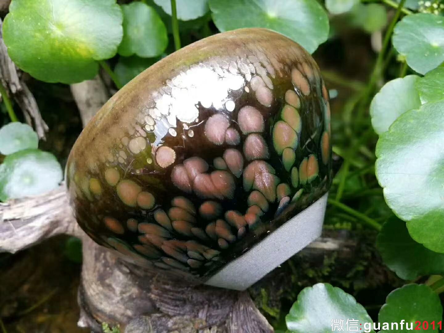 mmexport1525336561022