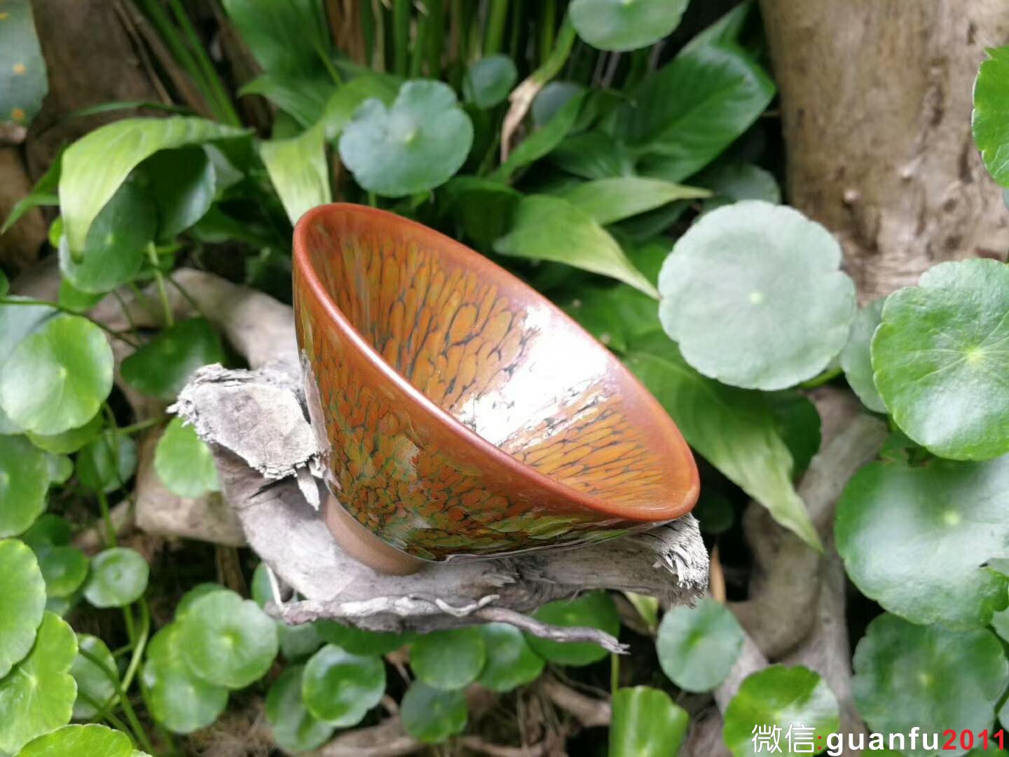 mmexport1525855377176