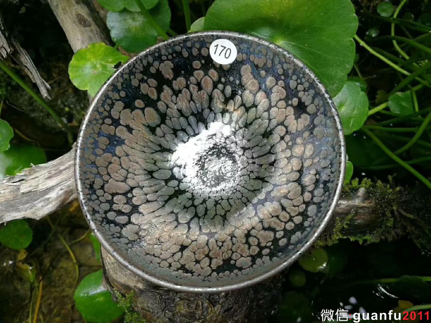 mmexport1525855741769