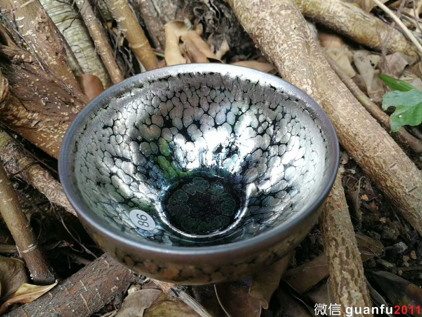 mmexport1525856143363