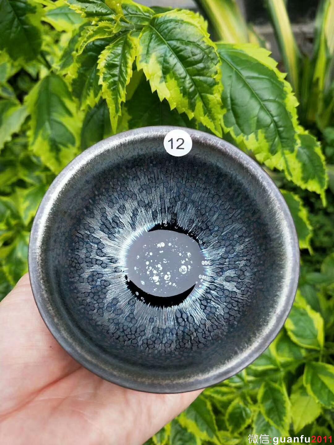 mmexport1526456607383