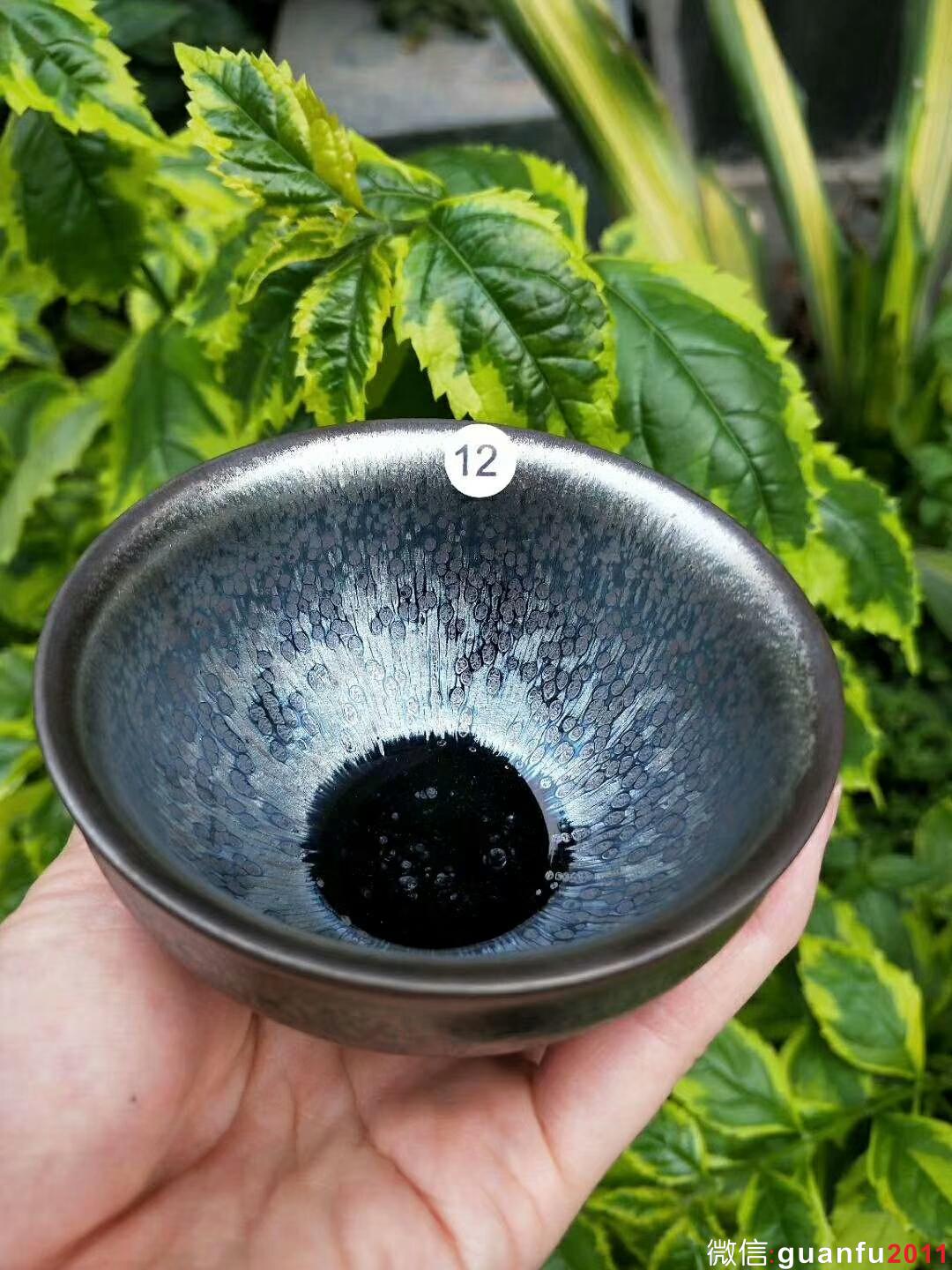 mmexport1526456609511