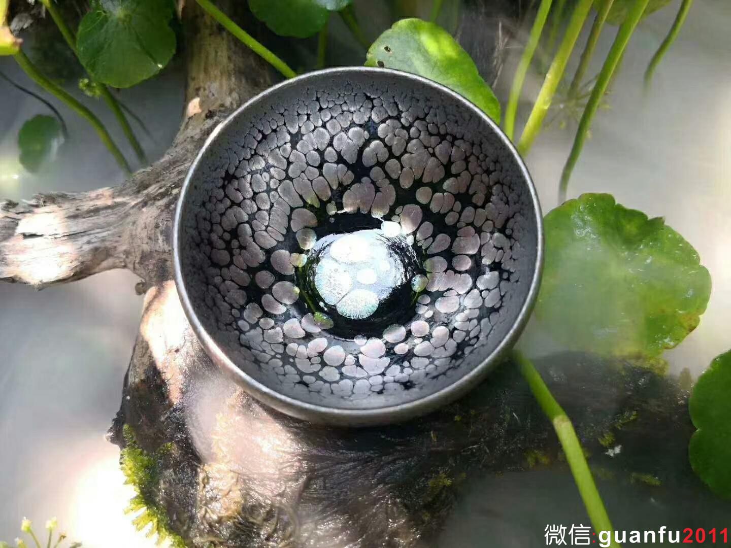 mmexport1526456887577