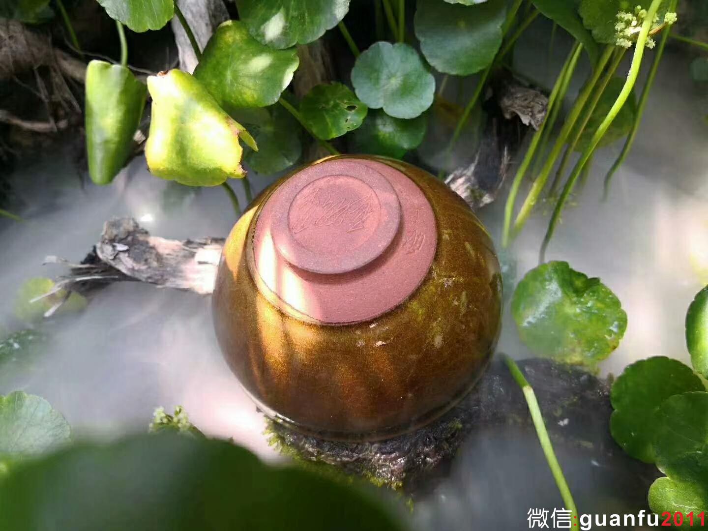 mmexport1526457099885