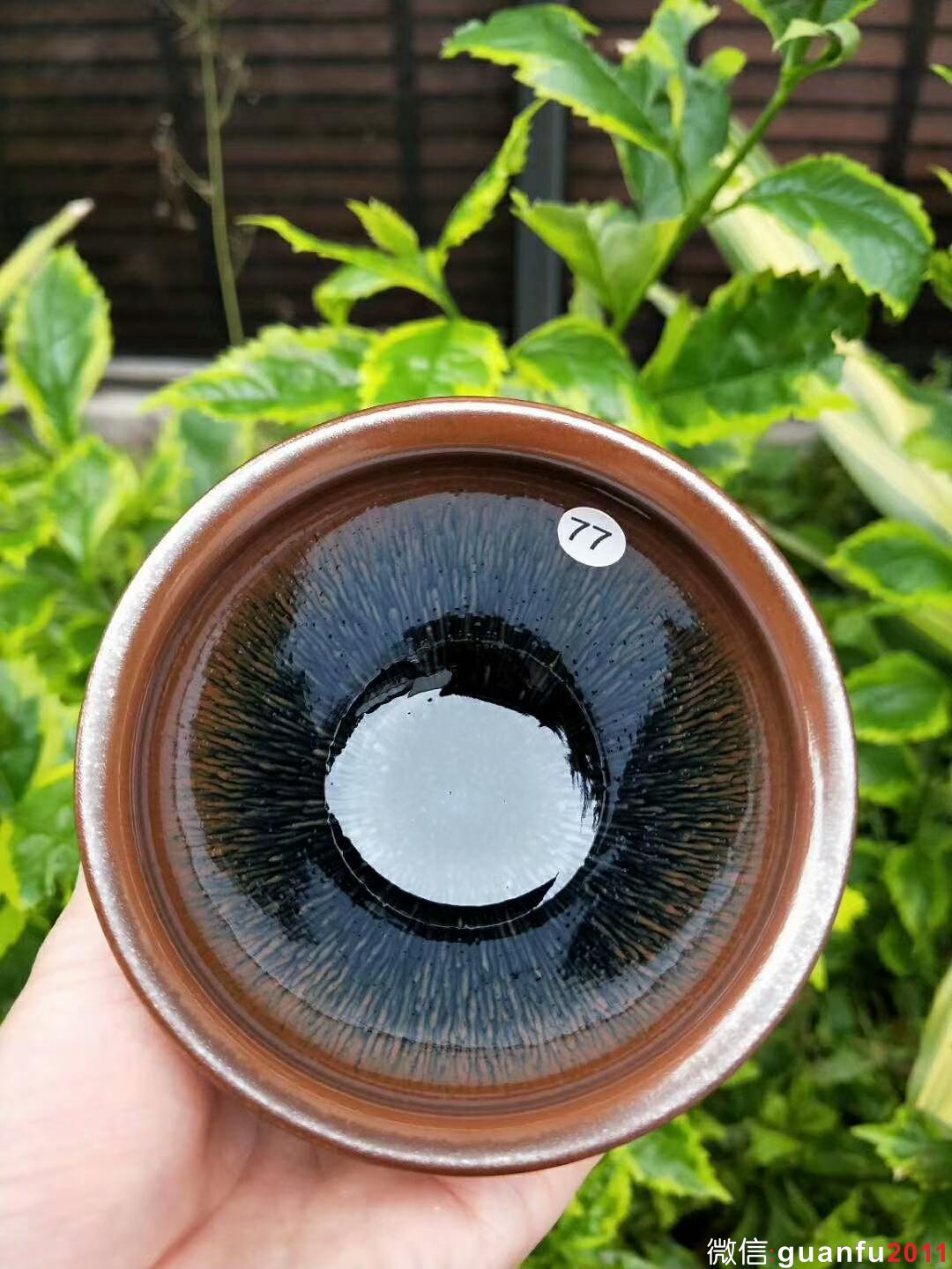 mmexport1527053336249