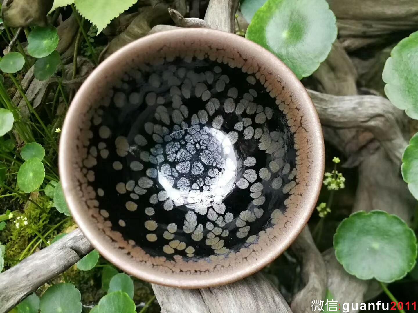 mmexport1527055367991