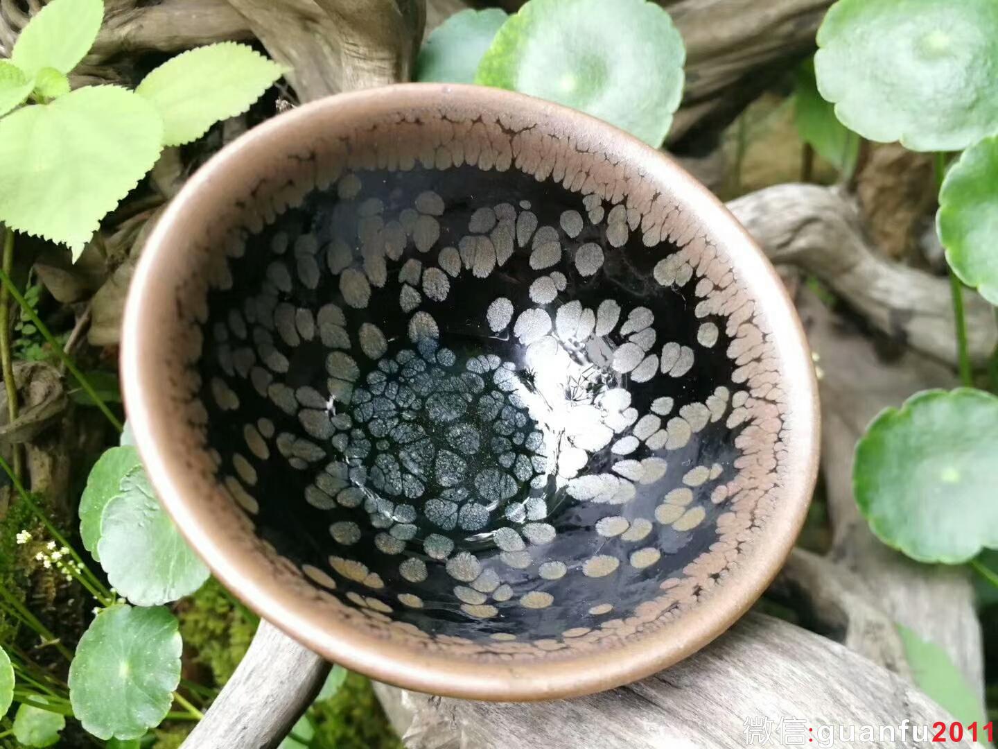 mmexport1527055369780