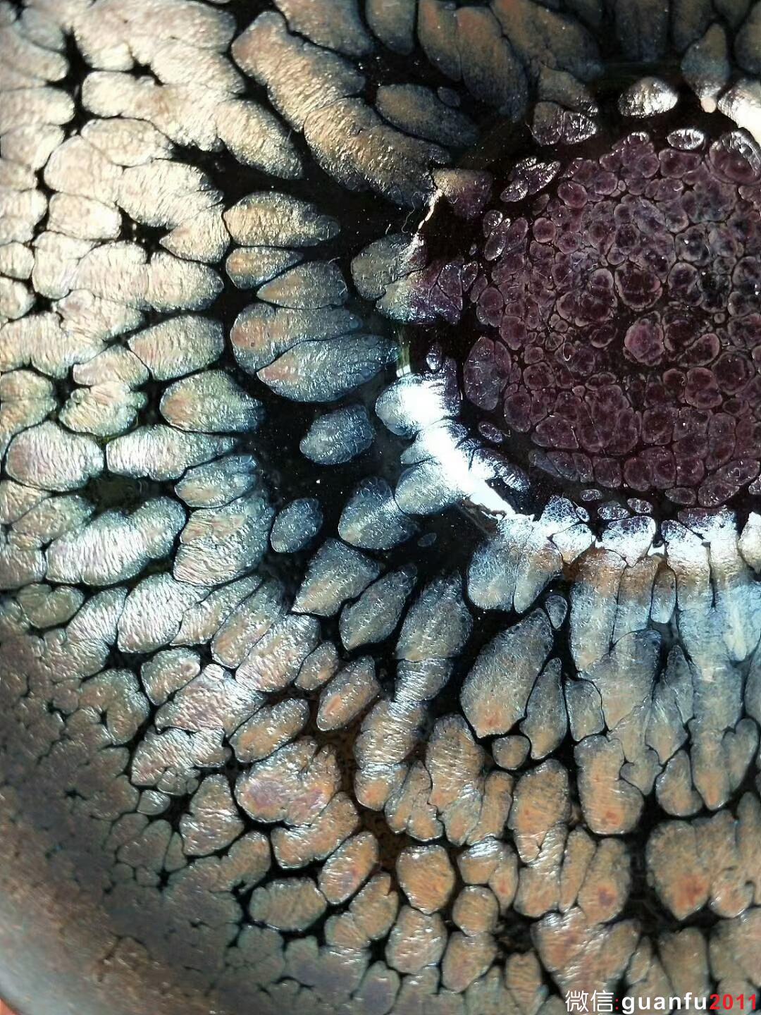 mmexport1527057767605