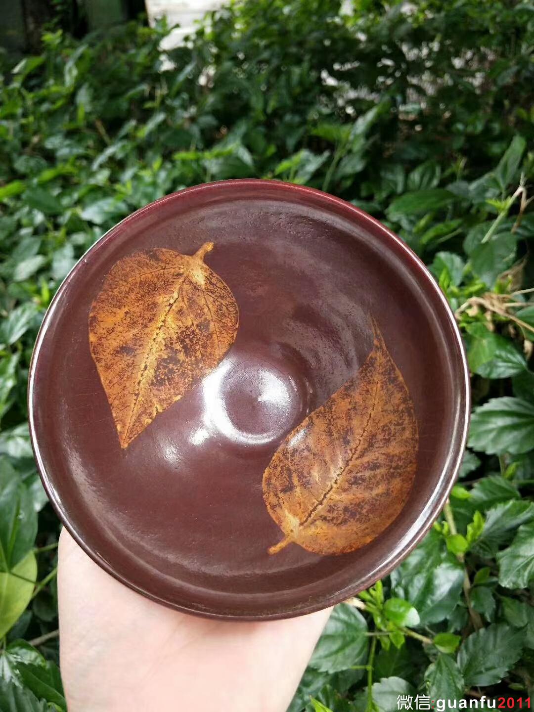 mmexport1527668448649