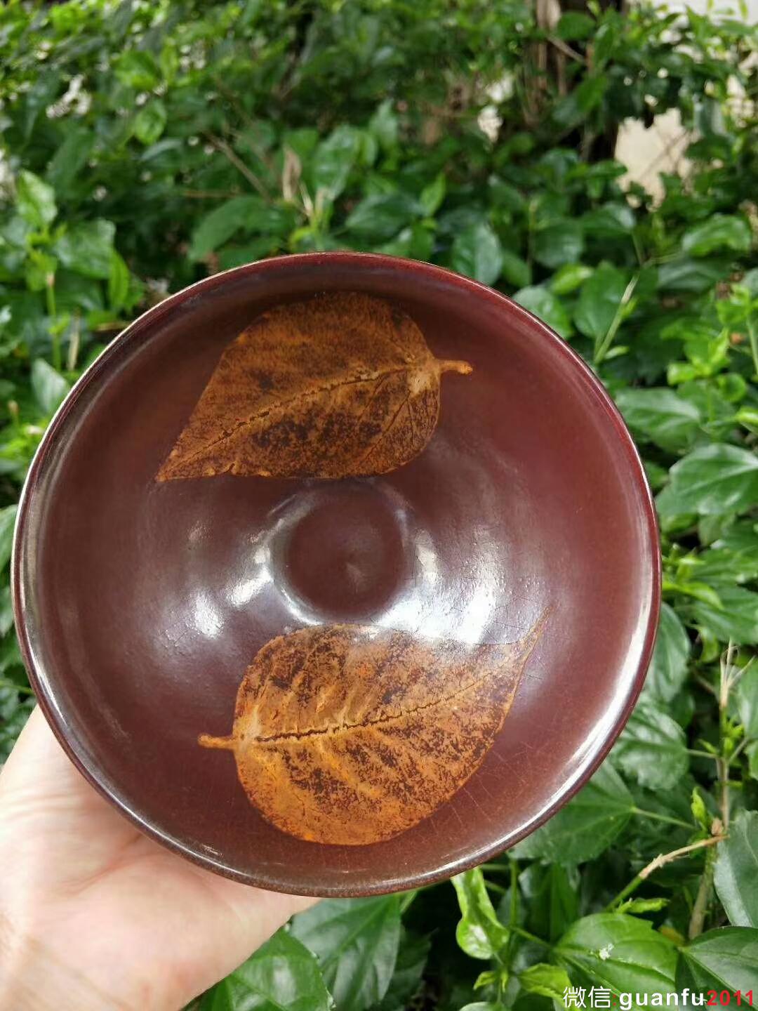 mmexport1527668450401