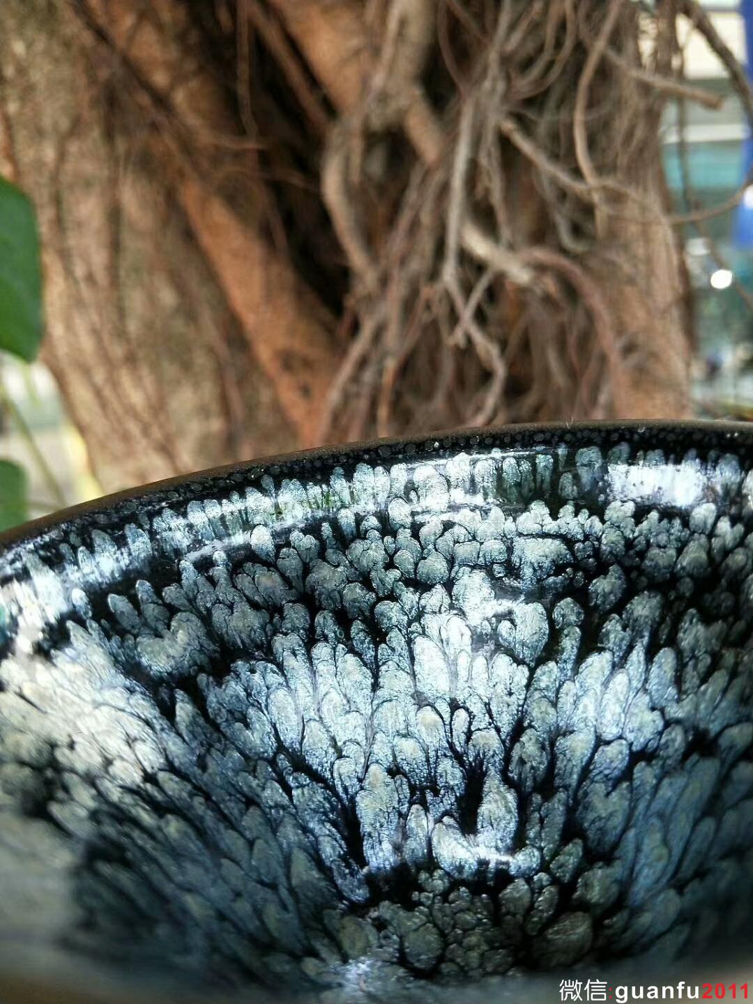 mmexport1527668894687