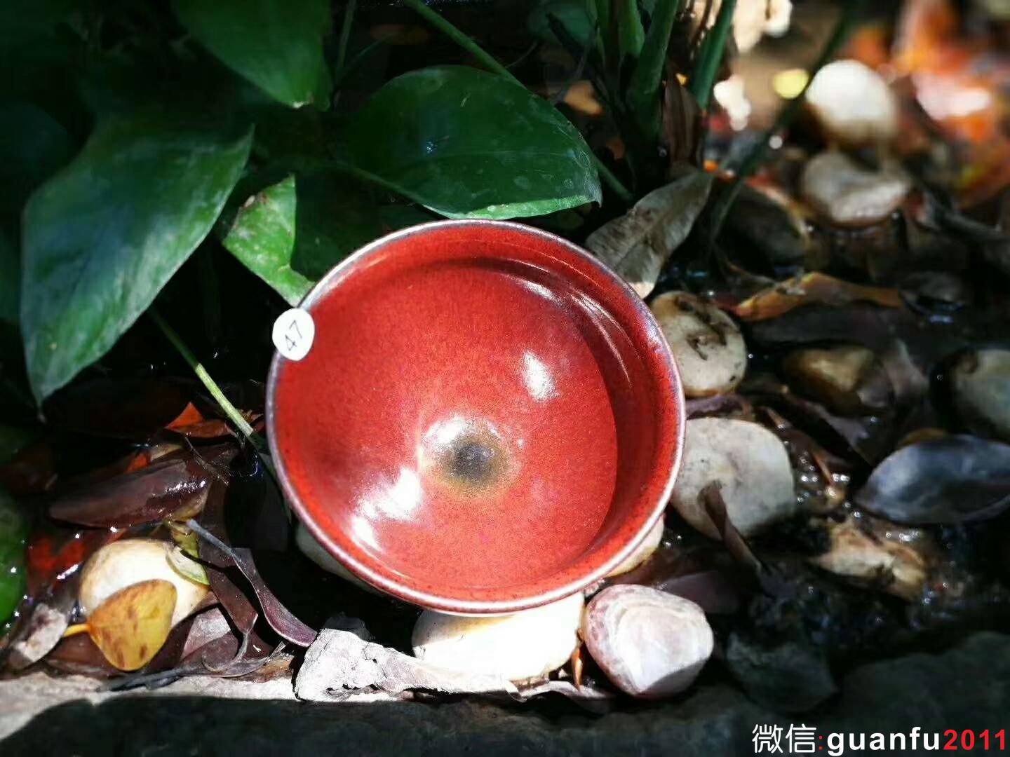 吳立勇老師 柿紅盞：口徑8*5.3