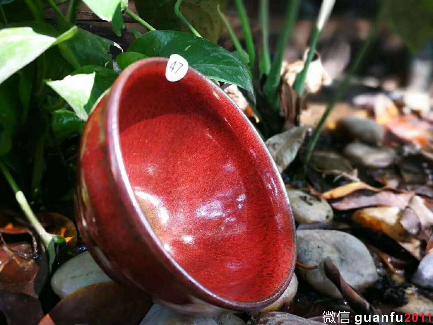 吳立勇老師 柿紅盞：口徑8*5.3