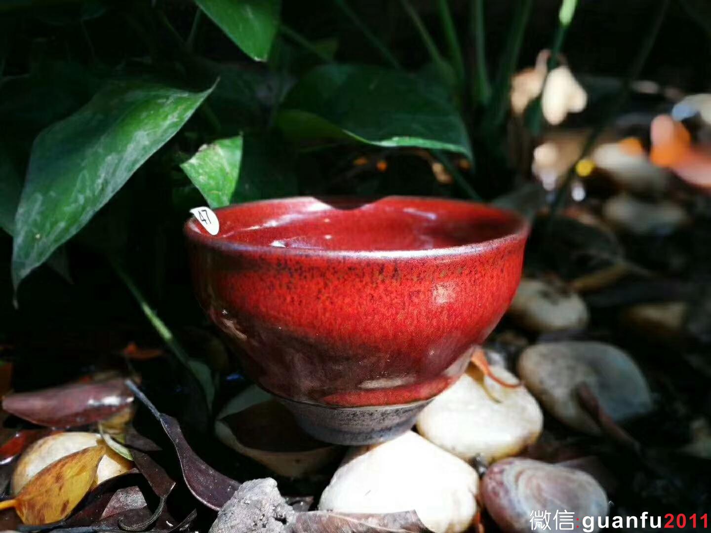 吳立勇老師 柿紅盞：口徑8*5.3