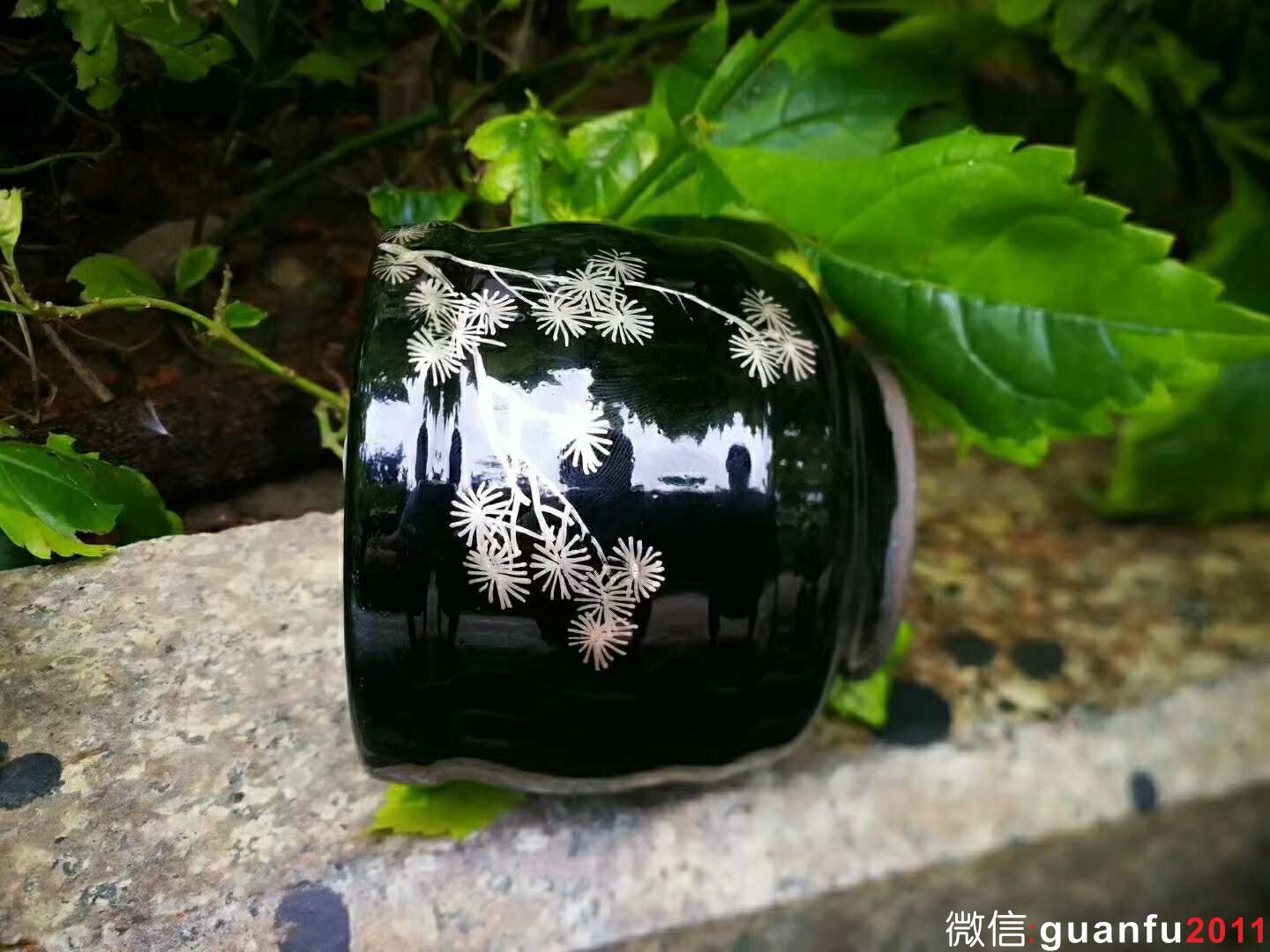 mmexport1527991253720