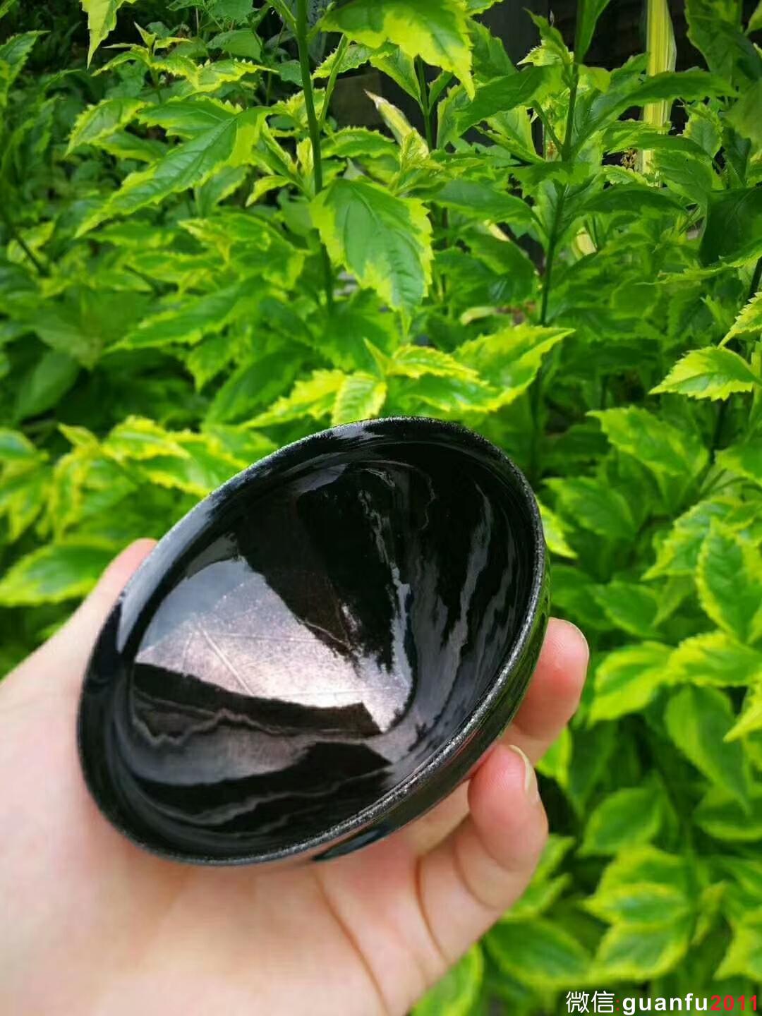 mmexport1528523718941