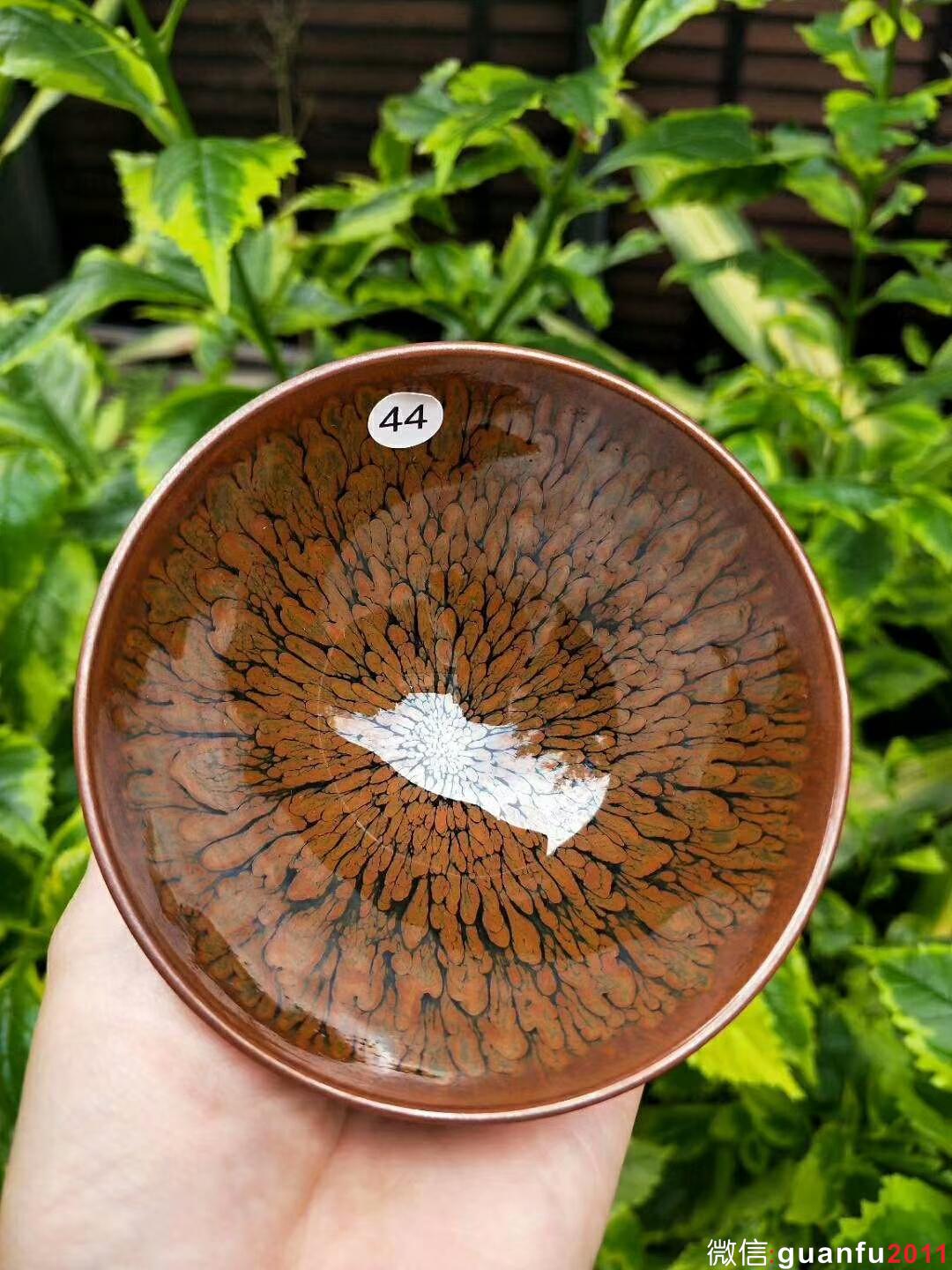 mmexport1528524267532