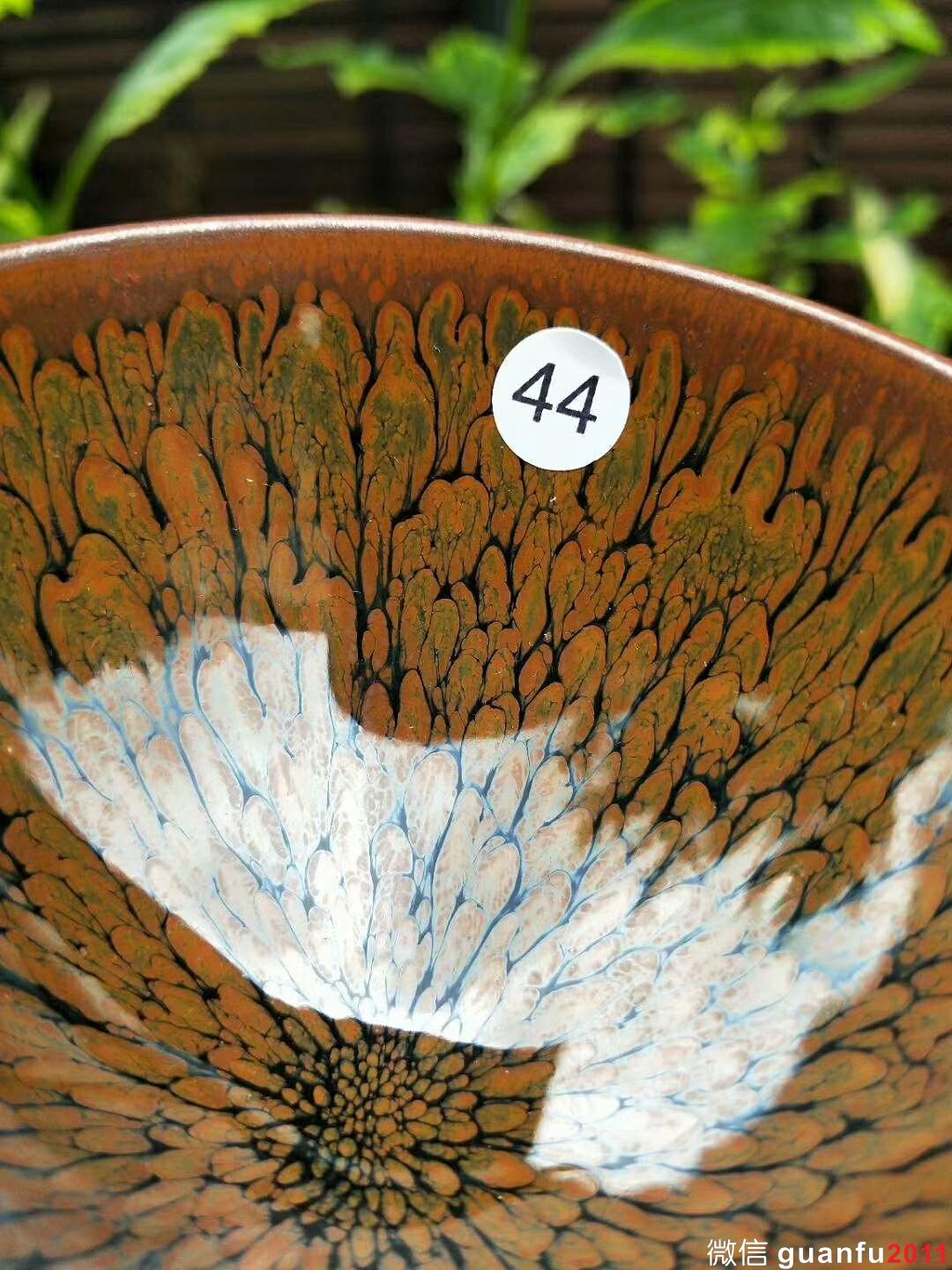 mmexport1528524276741