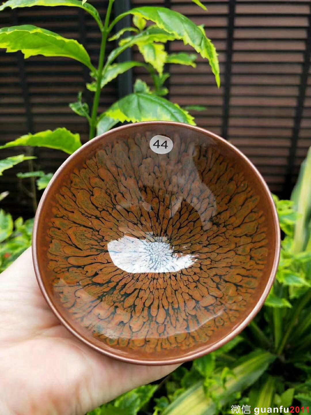 mmexport1528524279647