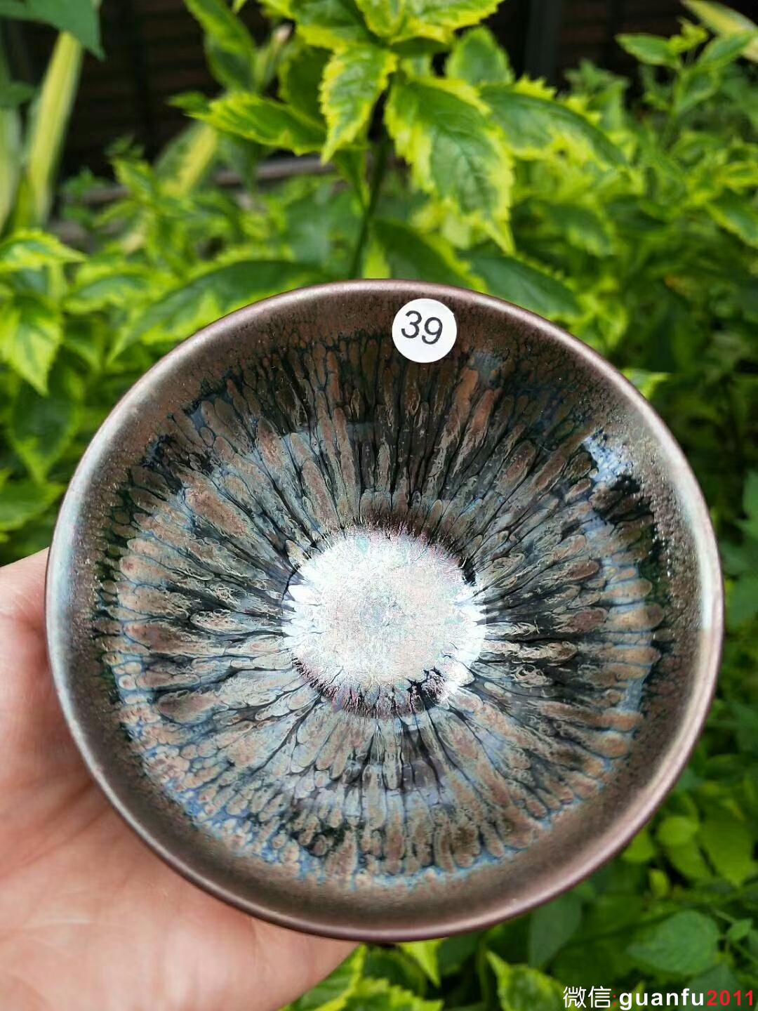 mmexport1529158234156