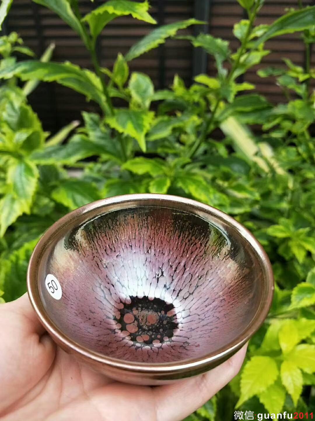 mmexport1529158636900