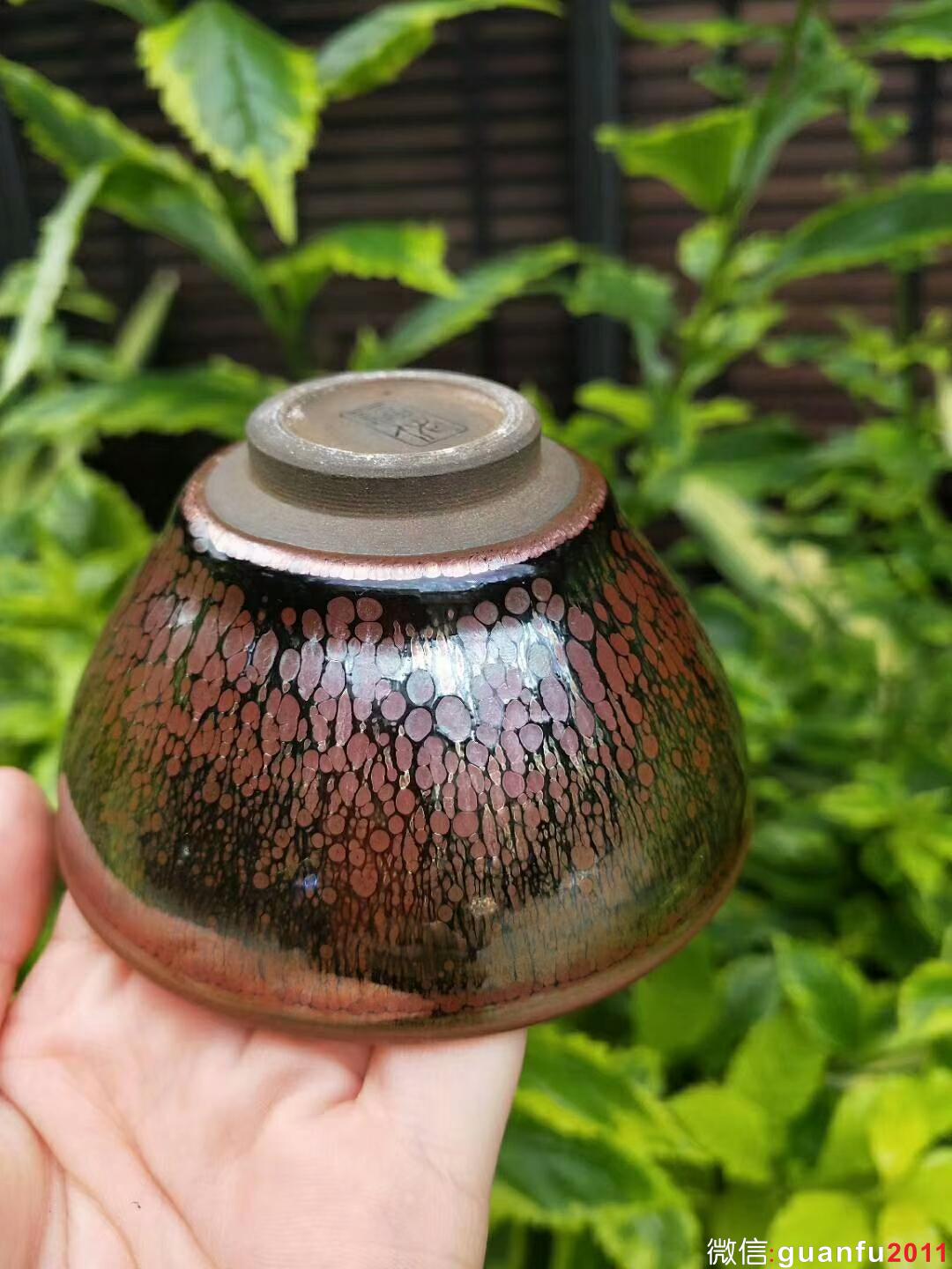 mmexport1529158639257