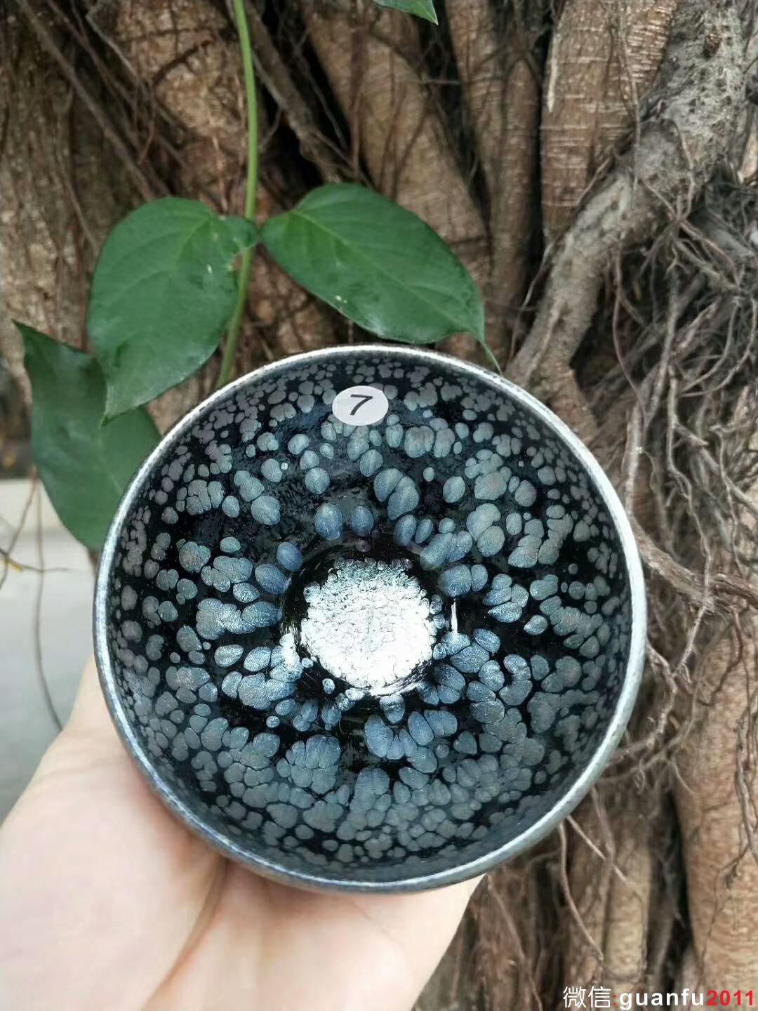 mmexport1529162644176