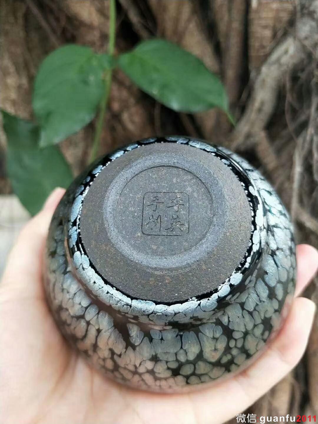 mmexport1529162655555