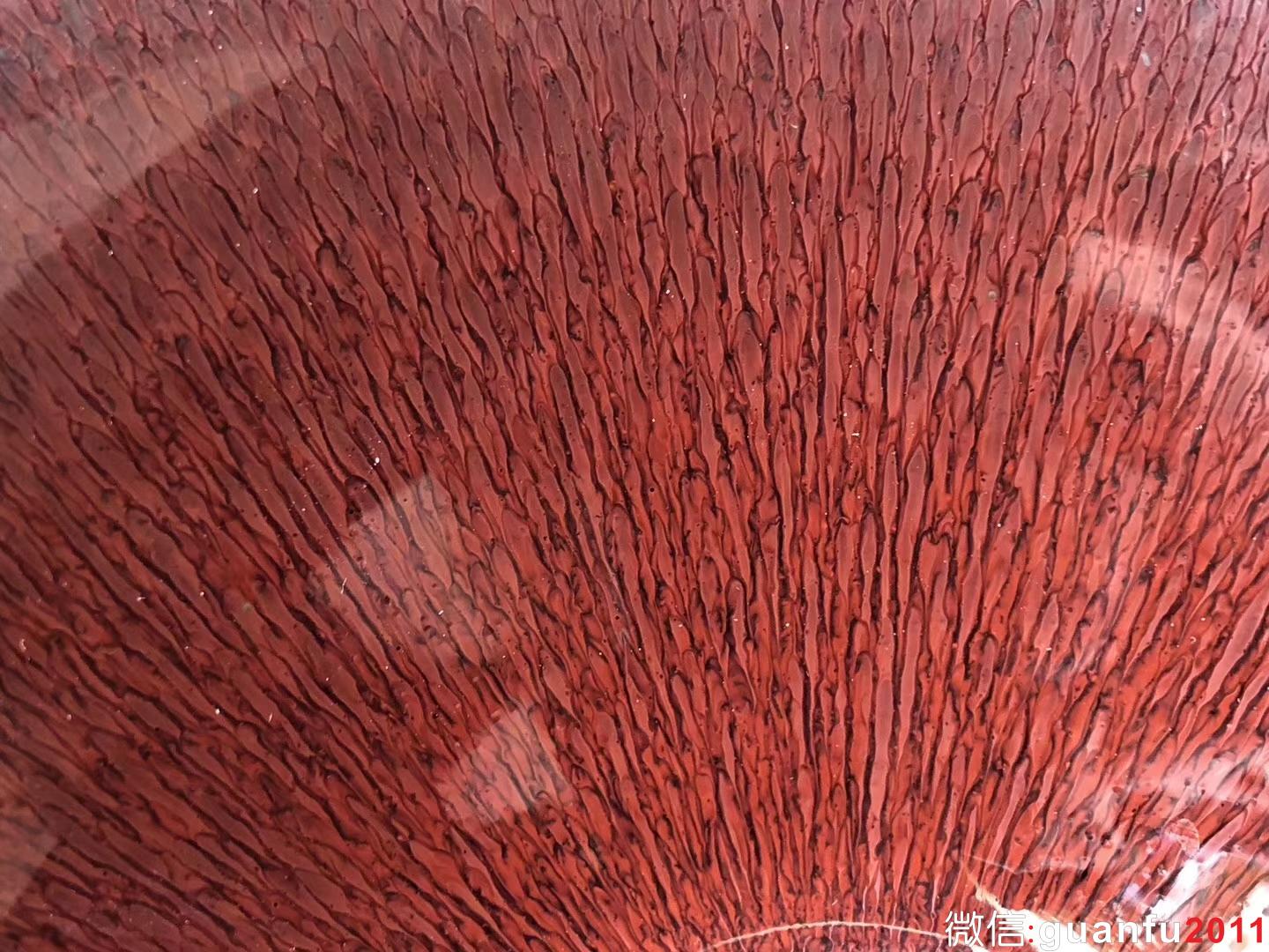 葉禮旺老師 七星高照 鴻運(yùn)兔毫 15 *6