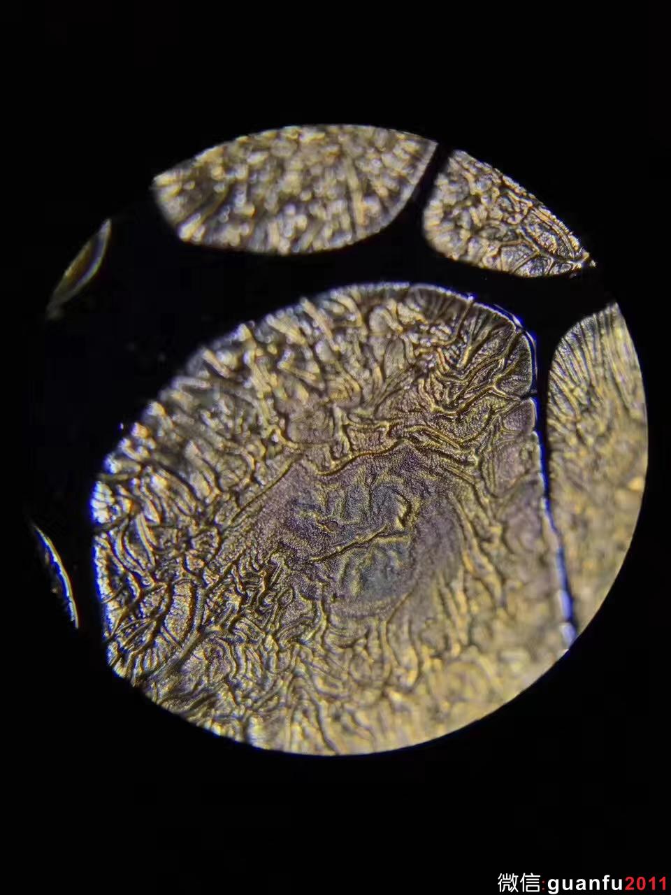 中國天目第一人：范澤鋒老師  全稱“國家研究員級高級工藝美術(shù)師”金油滴 斗笠 9.8高：6