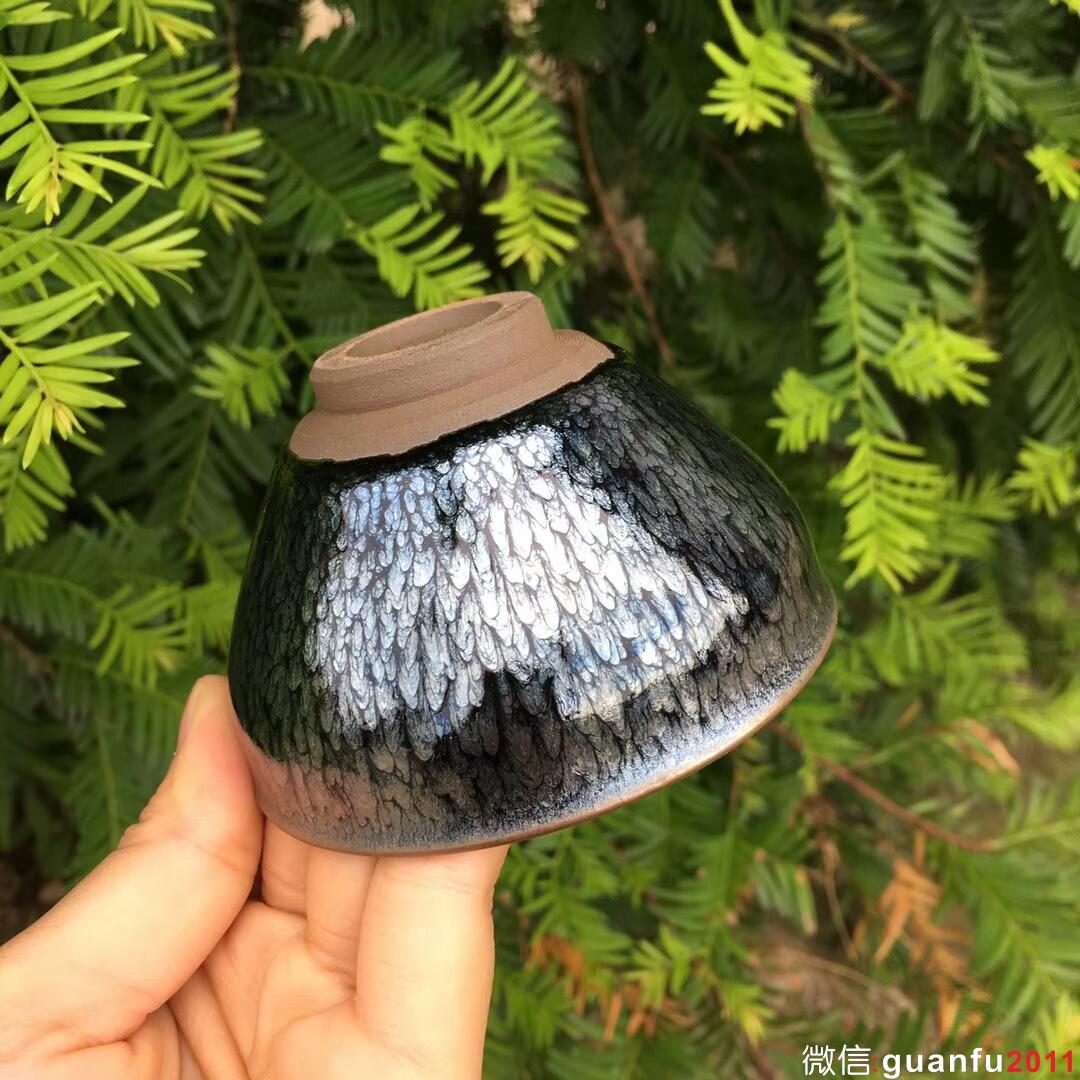 mmexport1529824309521