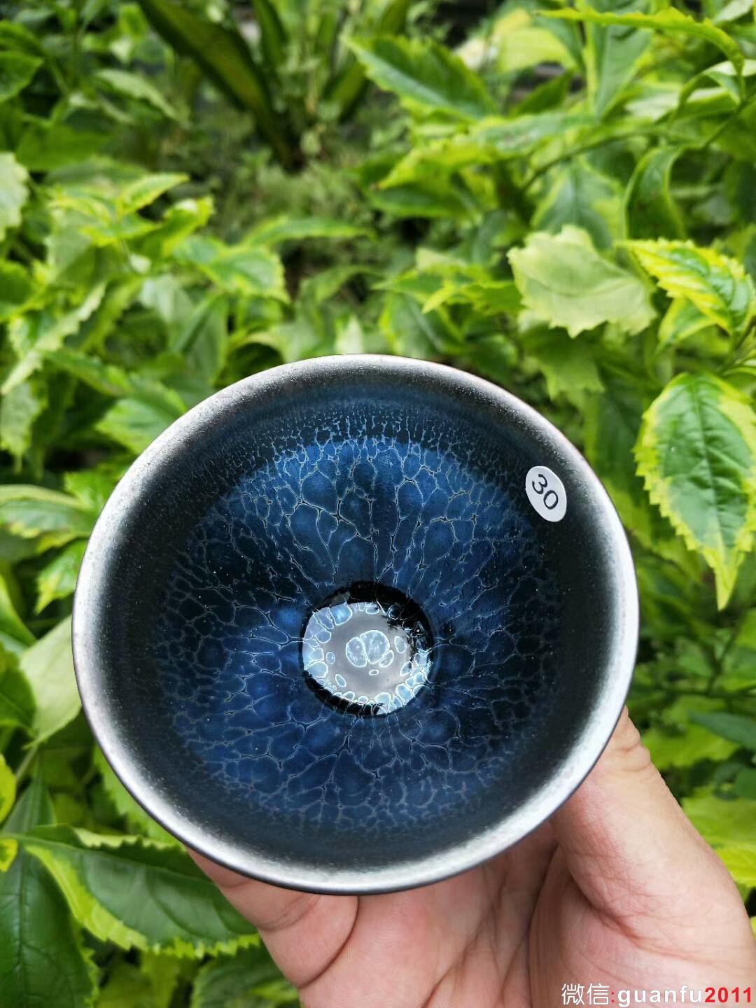 mmexport1529829259747