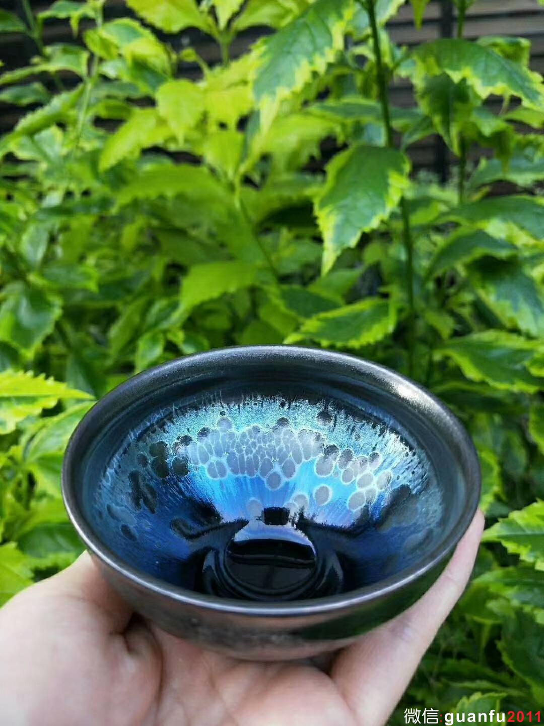 mmexport1529829370405