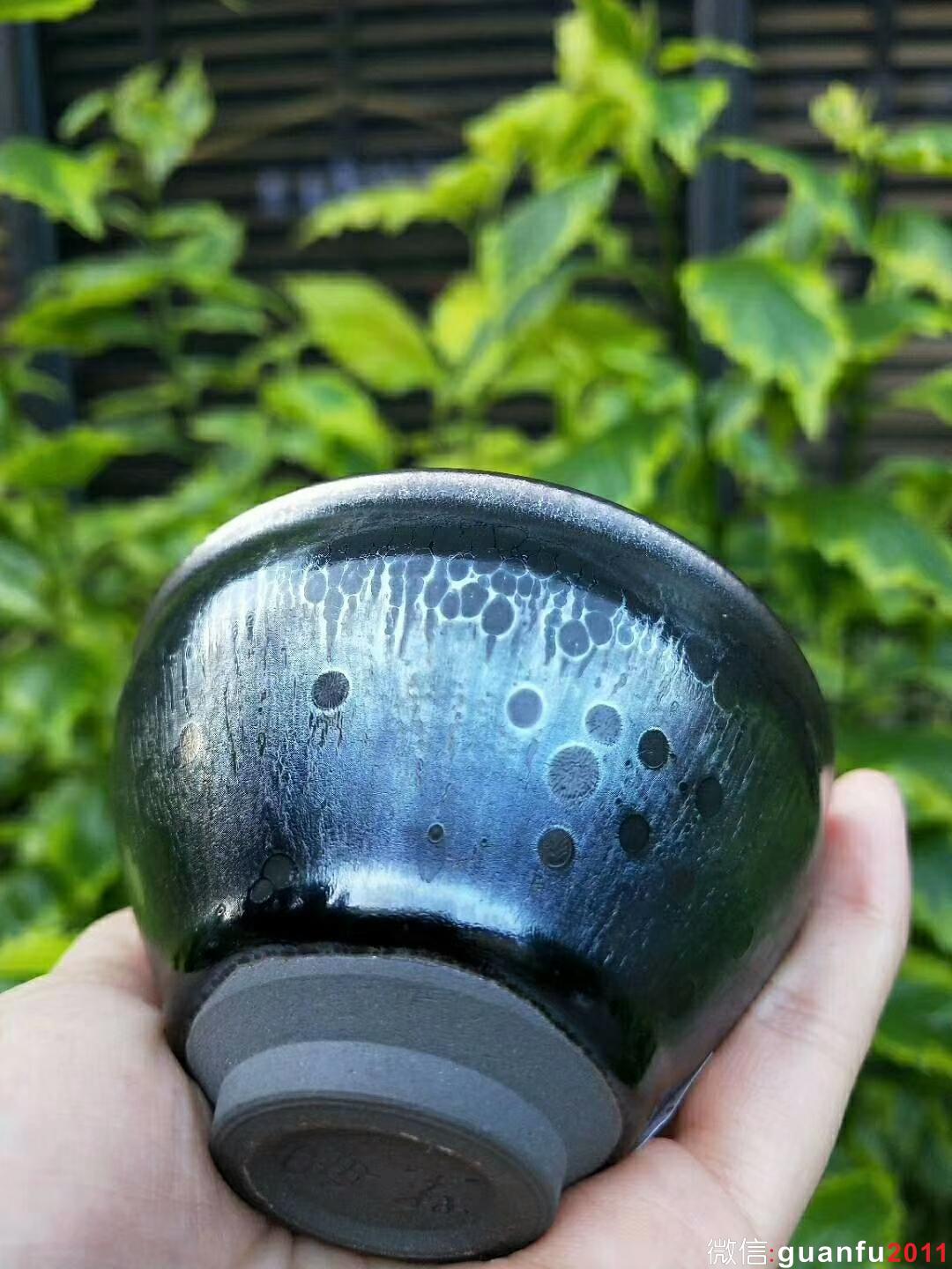 mmexport1529829380346