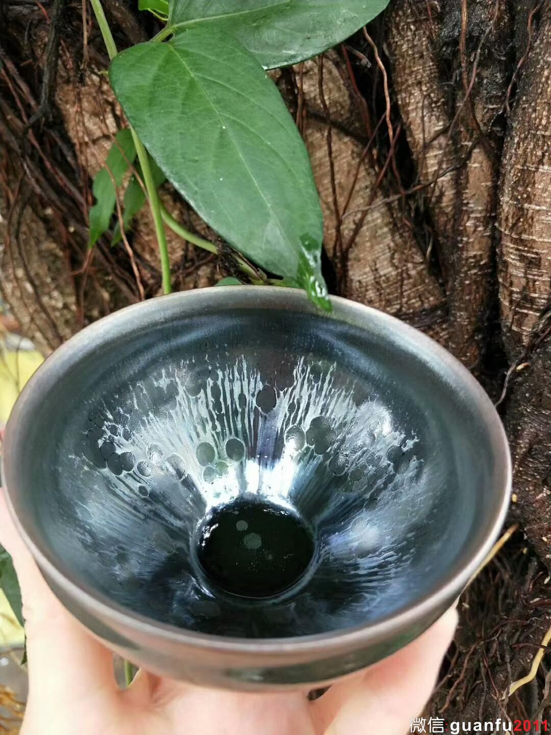 mmexport1529829544600