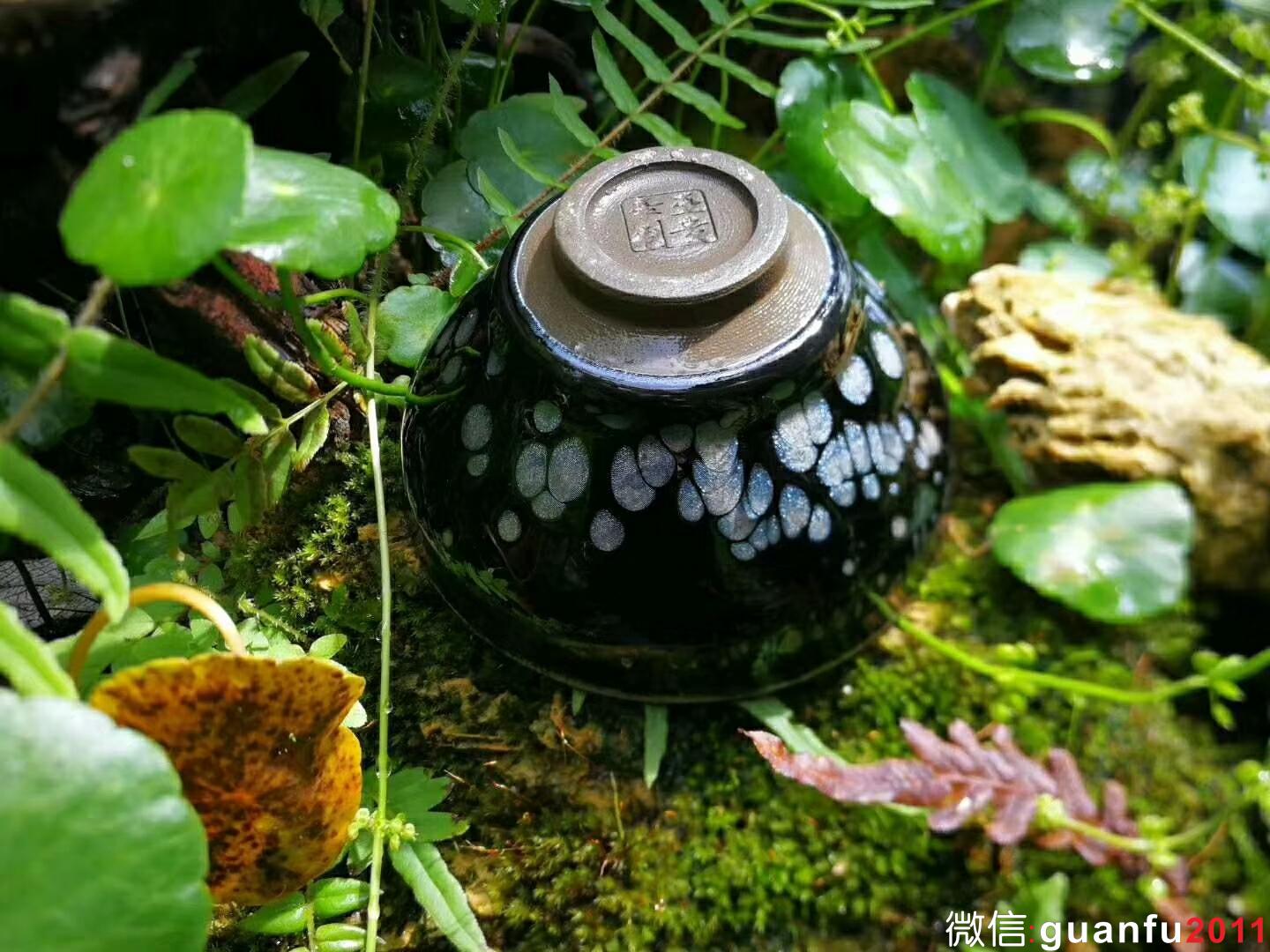 mmexport1529831302342