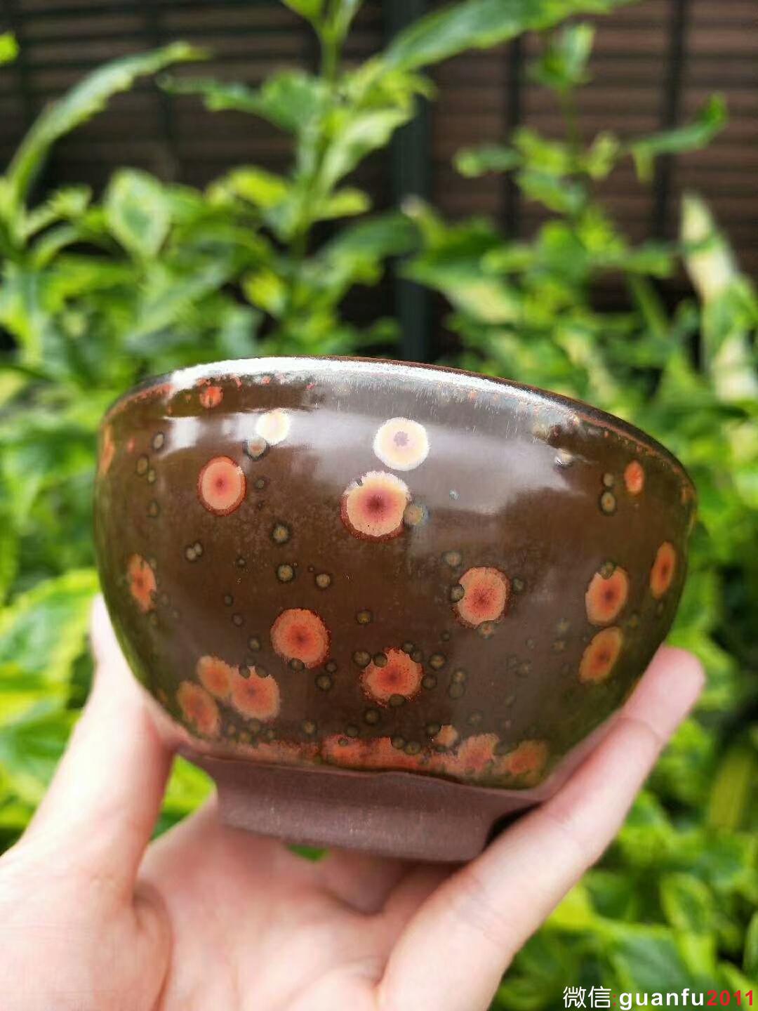 mmexport1529831457165