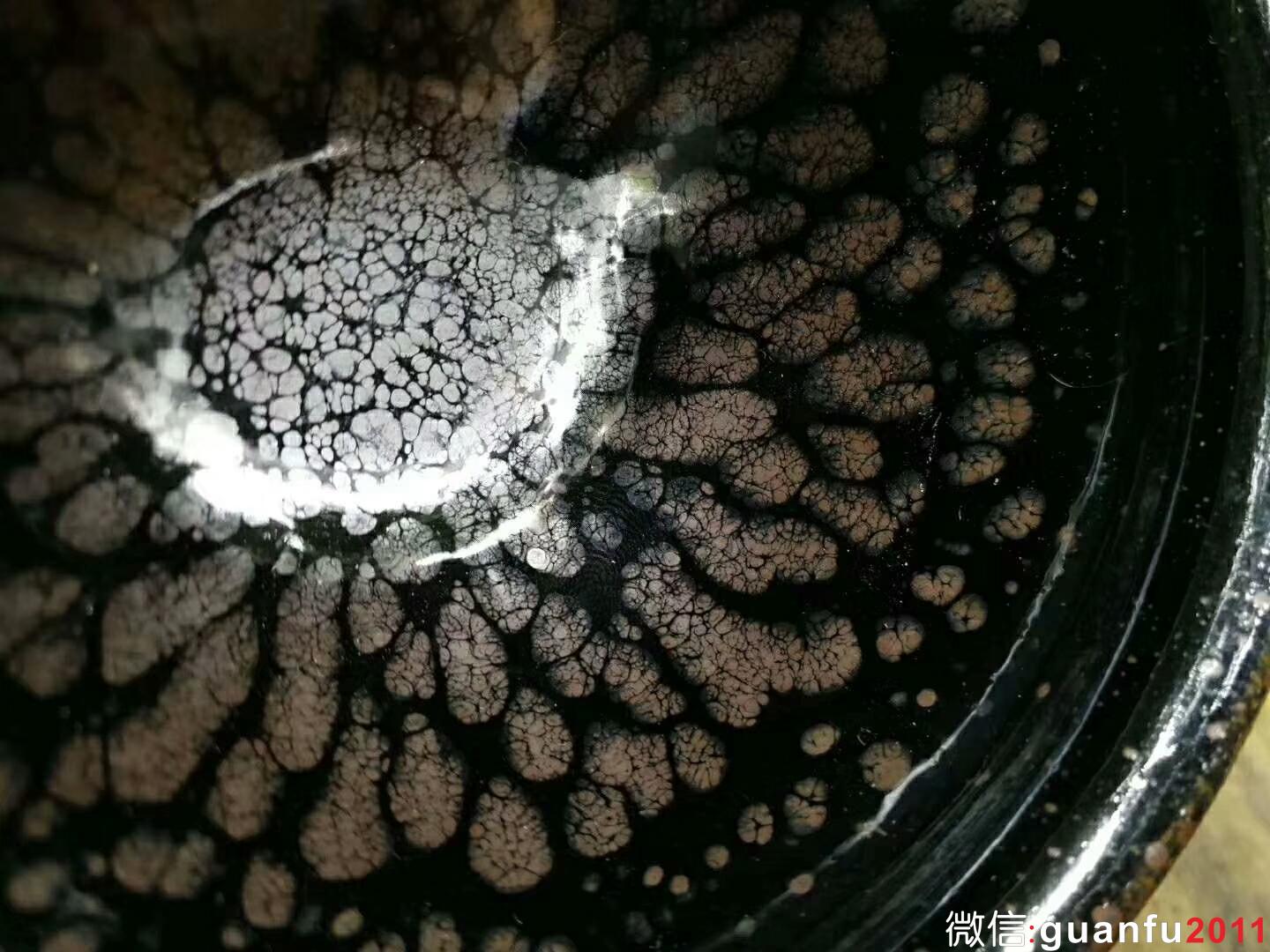 mmexport1529831703267