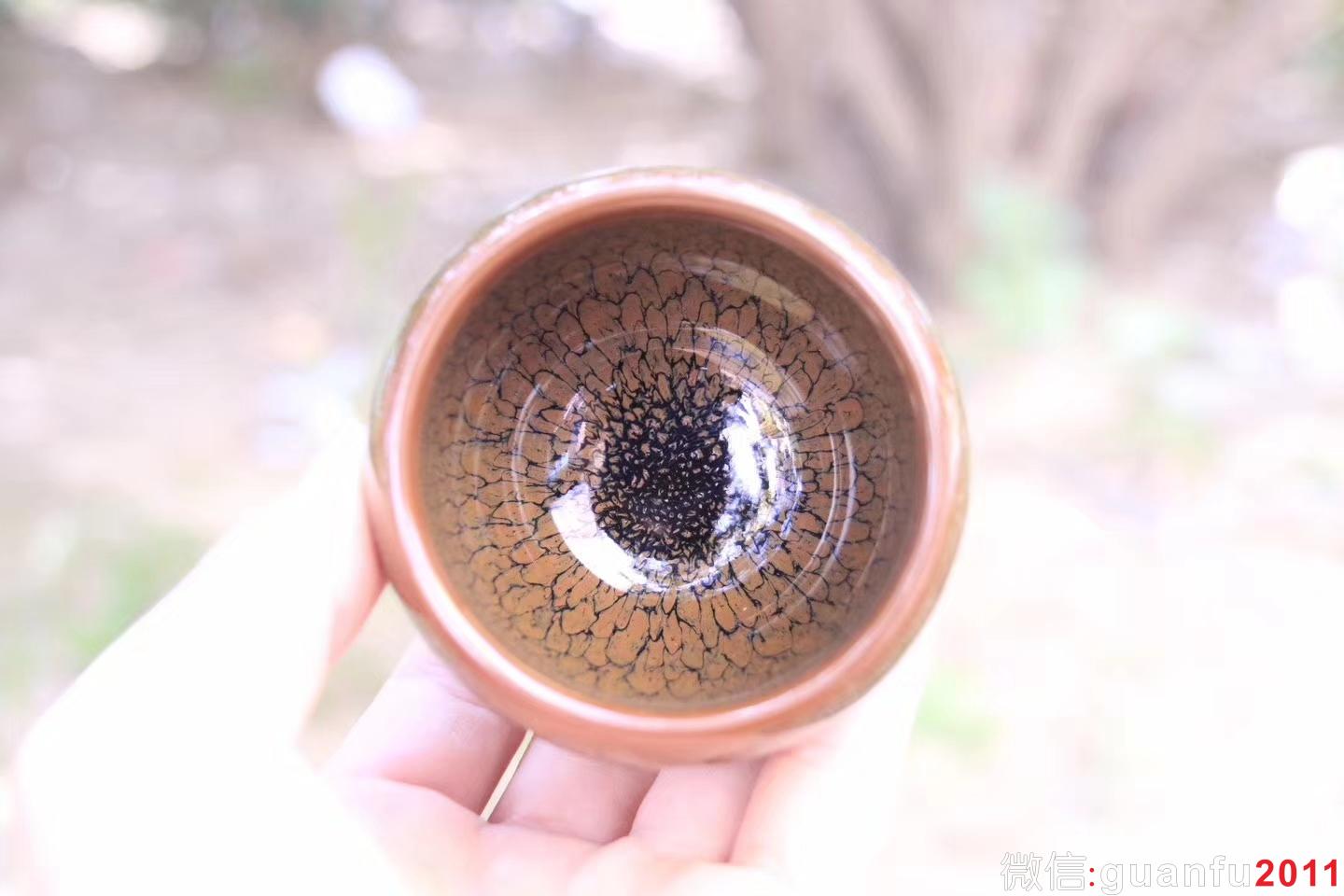 mmexport1529894494899