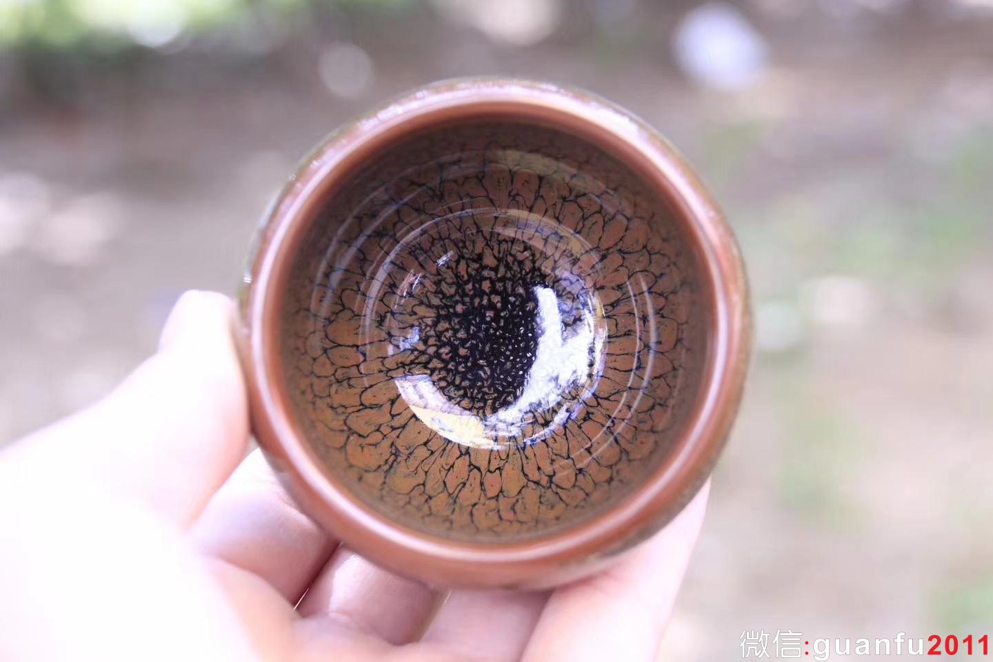 mmexport1529894503167